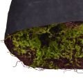Mousse Artificielle Grand Tapis de Mousse Marron Vert 100×50cm | Floristik24.fr