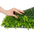 Plante Artificielle Buisson Carré 55x55 cm pour Décoration Murale | Floristik24.fr