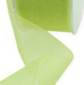 Floristik24 Ruban organza avec lisière 4cm 50m vert clair
