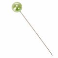 Épingles à tête perlée vert pomme Ø10mm 60mm – Lot de 50 | Floristik24.fr