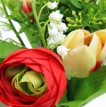 Floristik24 Bouquet de marguerites et de tulipes, rouge