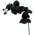 Floristik24 Orchidée à décorer Noir 54cm