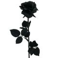Floristik24 Rose Fleur de Soie Noir 63cm
